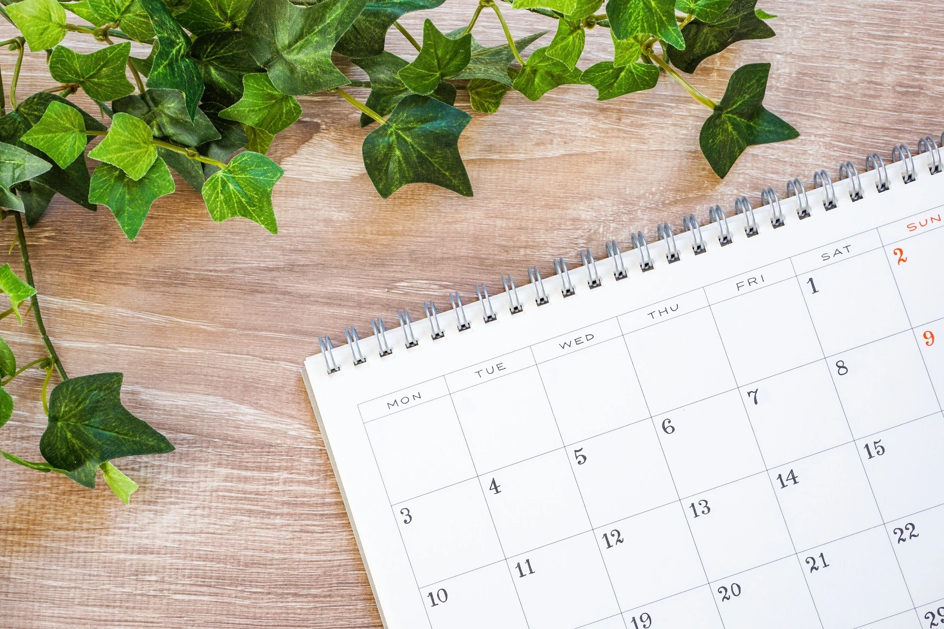 AdobeStock_239486520 (1) (1)